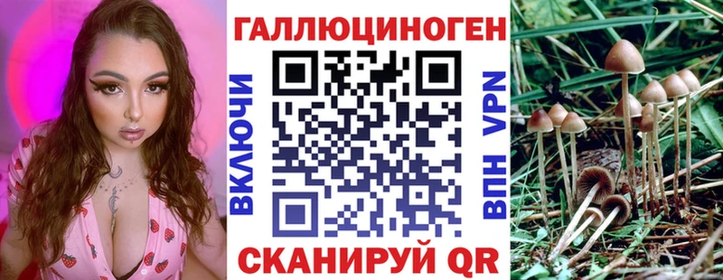 цена Знаменск Псилоцибиновые грибы Cubensis